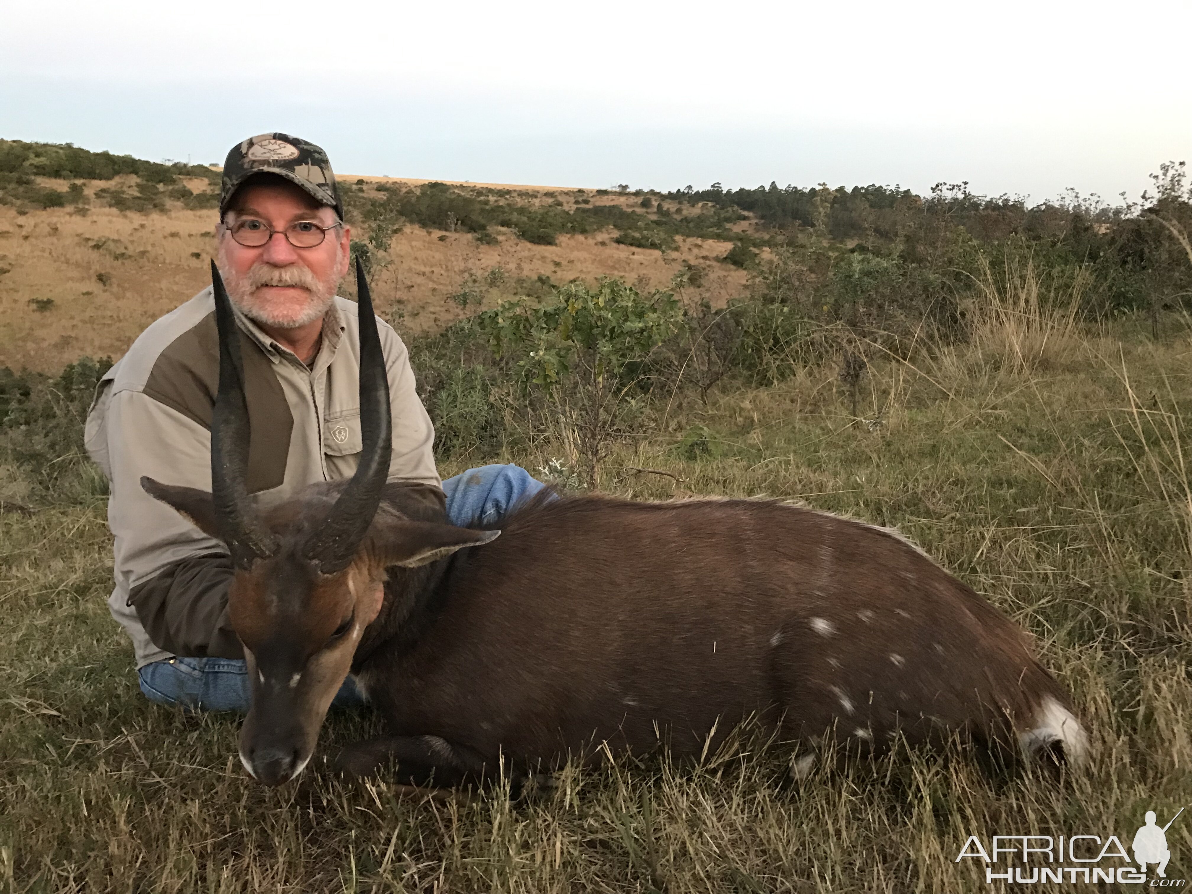 Hunt Bushbuck in South Africa