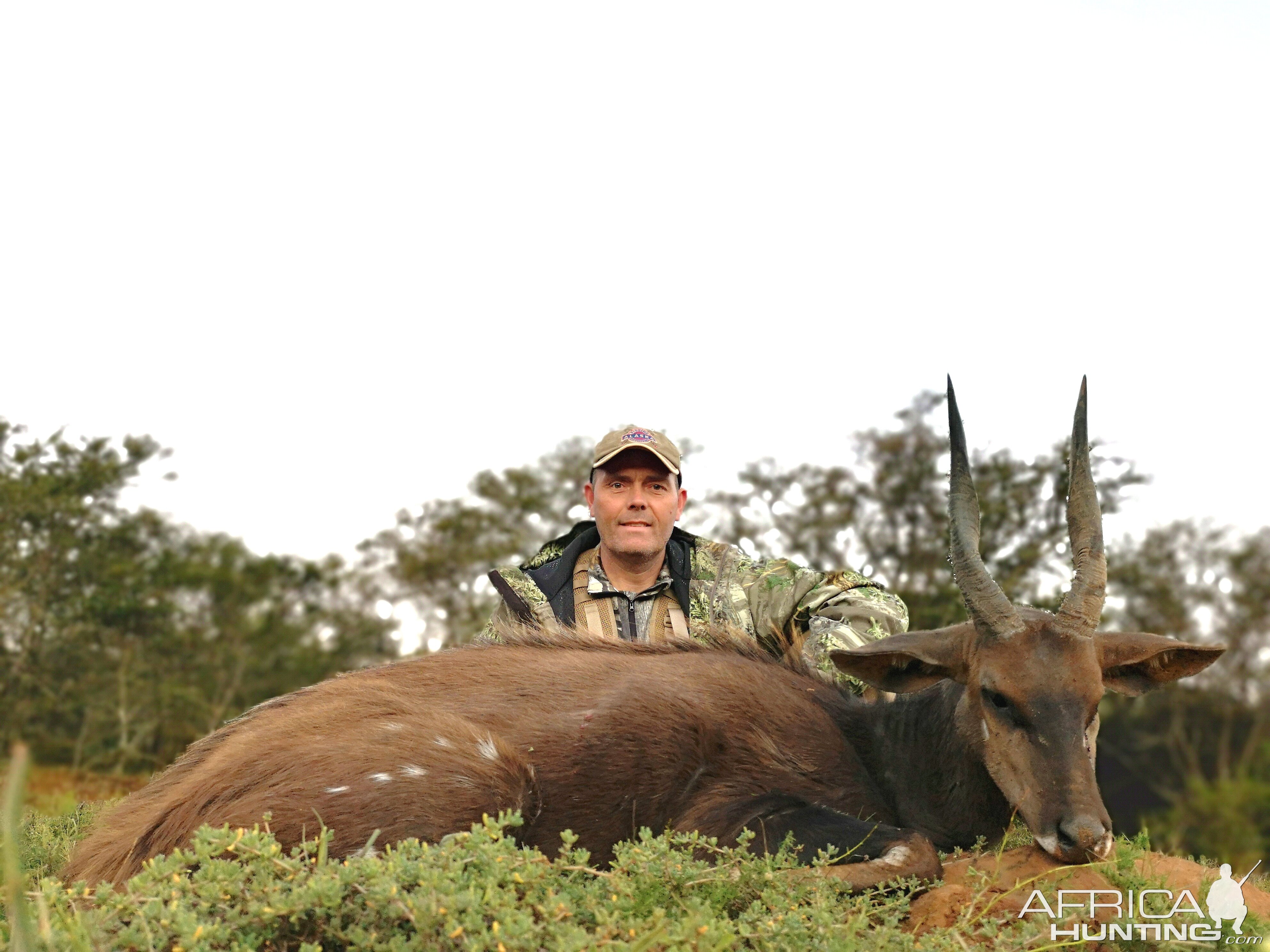 Hunt Bushbuck in South Africa