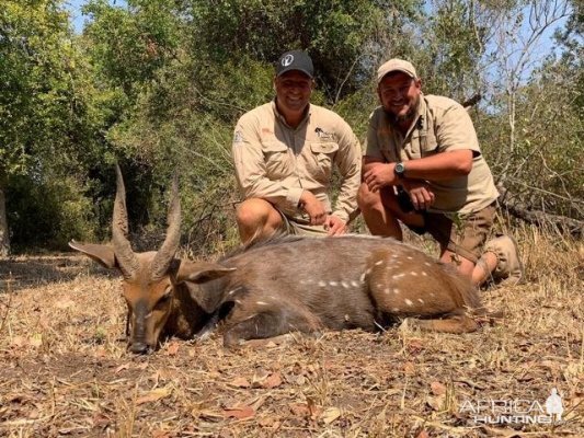 Hunt Bushbuck in Zimbabwe