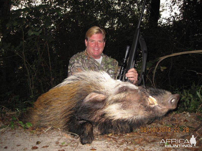 Hunt Bushpig in Mozambique