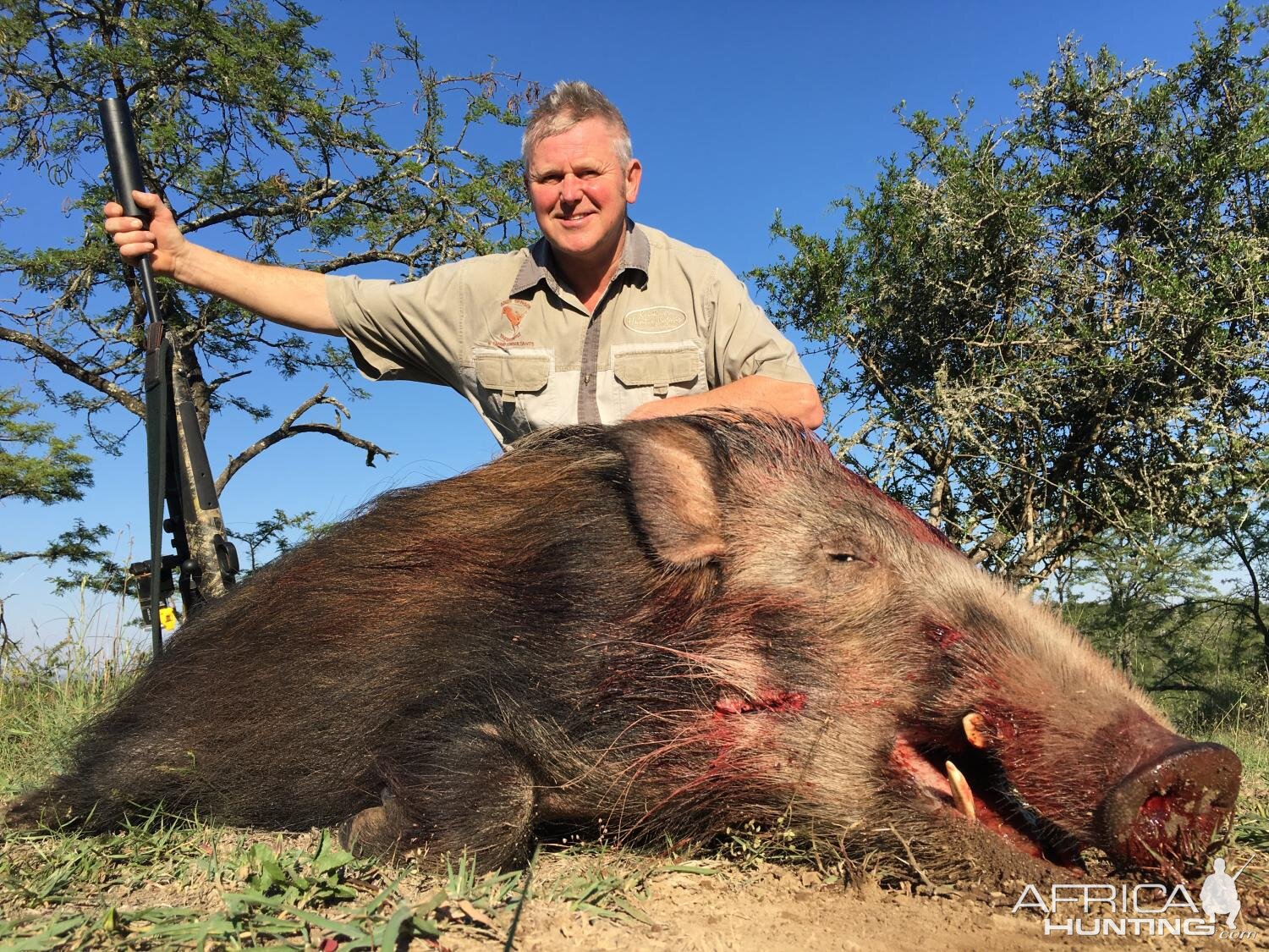 Hunt Bushpig in South Africa