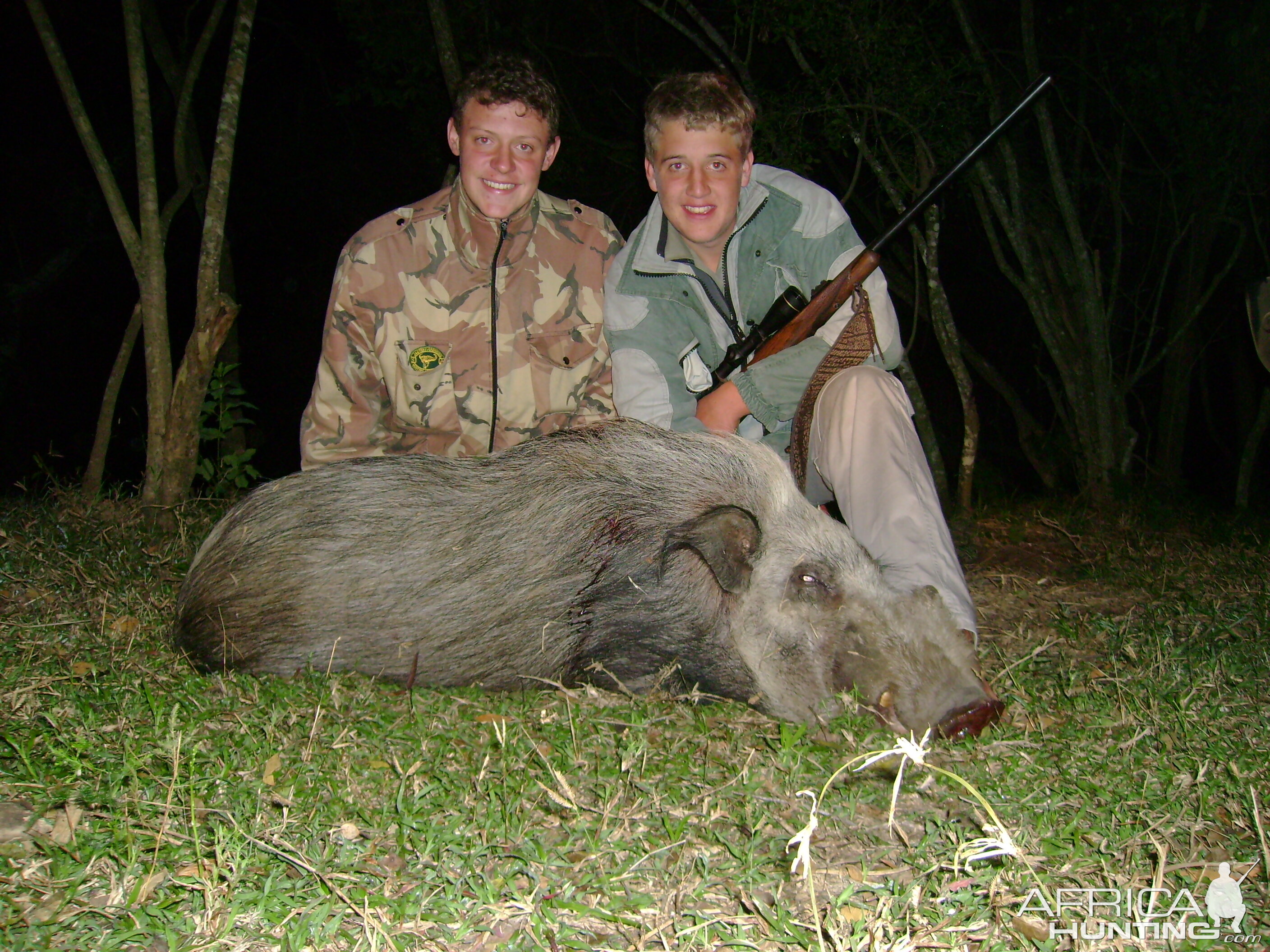 Hunt Bushpig in South Africa