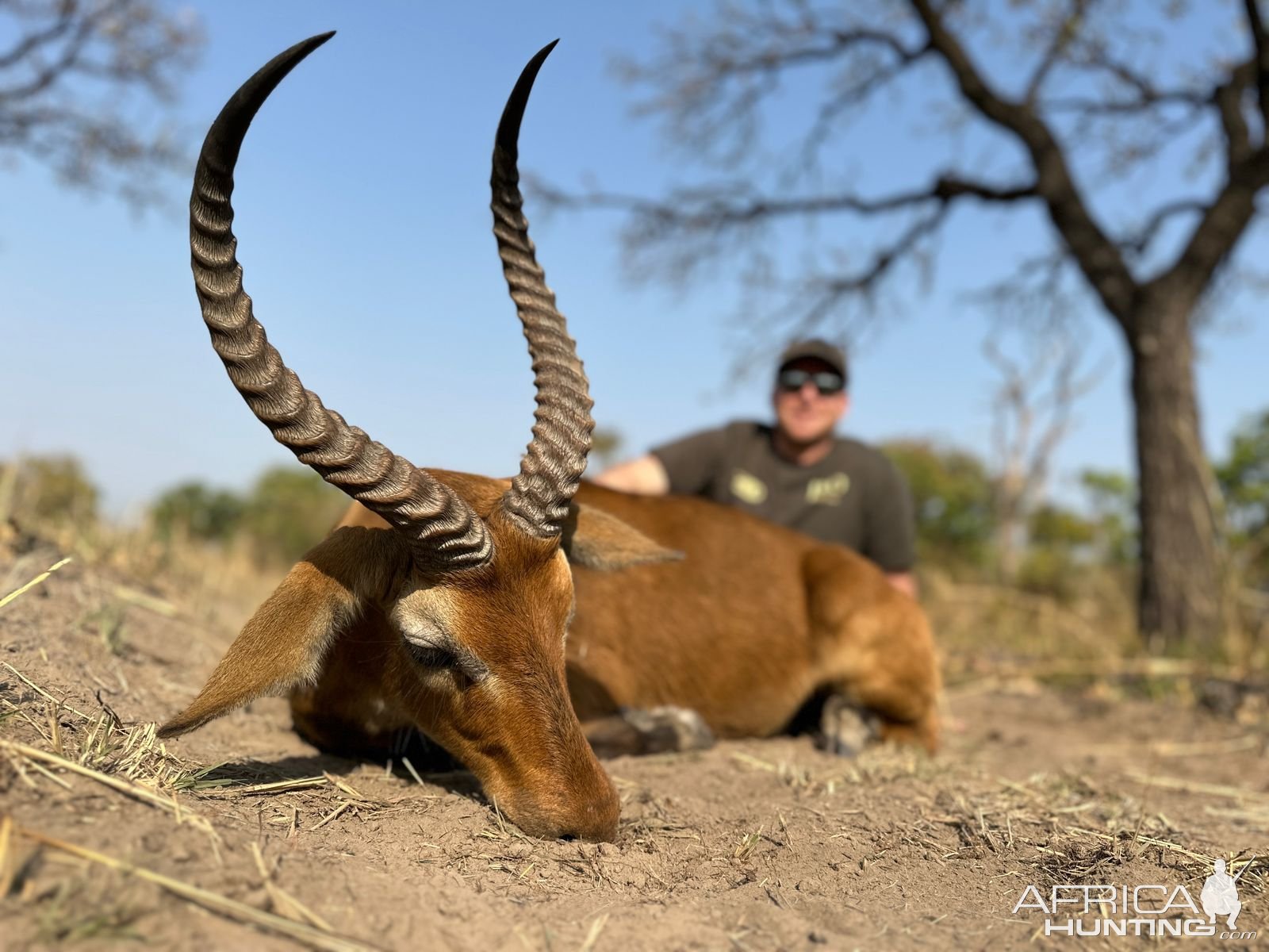 Hunt Cameroon