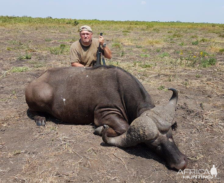 Hunt Cape Buffalo in Mozambique