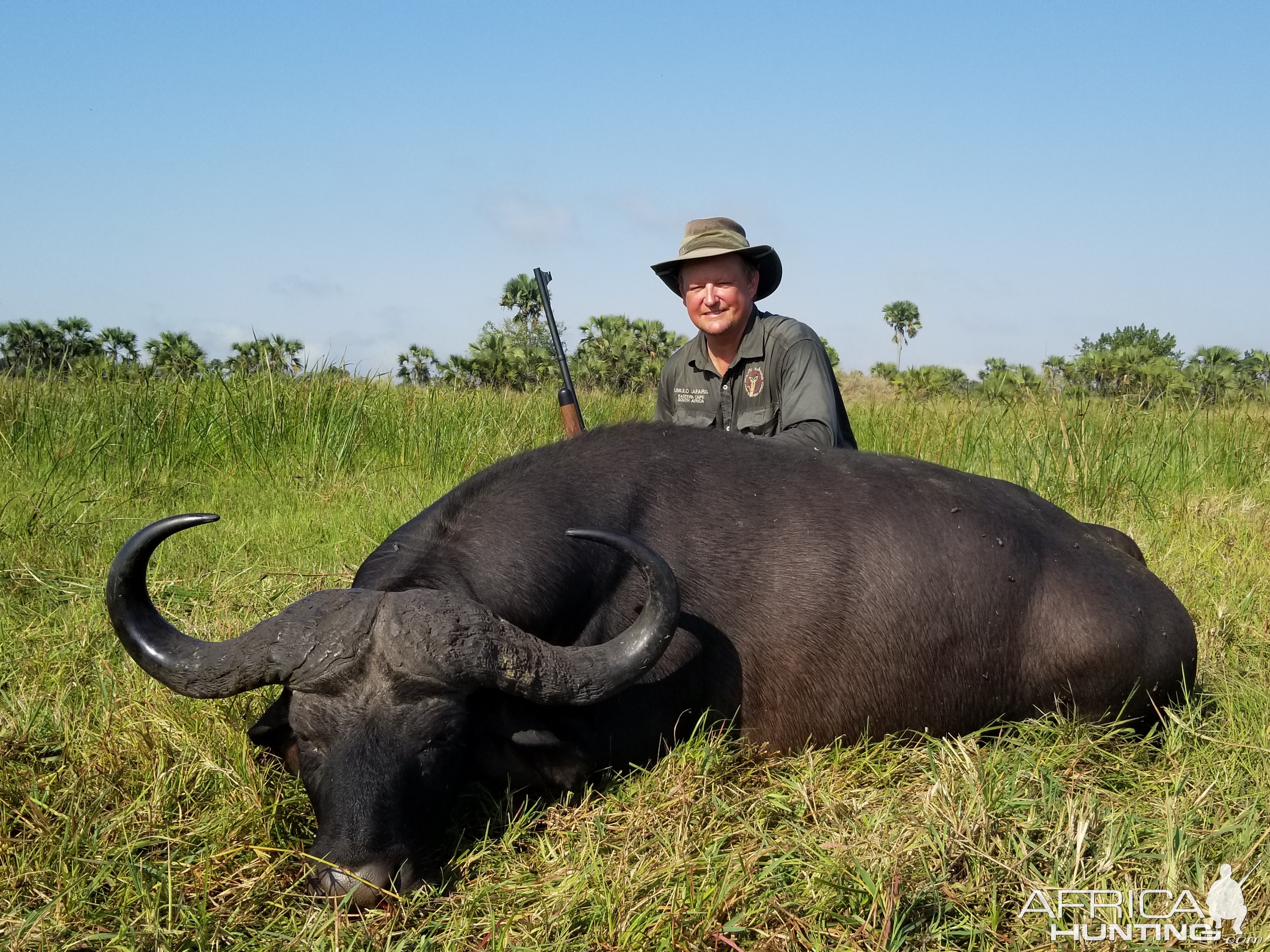 Hunt Cape Buffalo in Mozambique