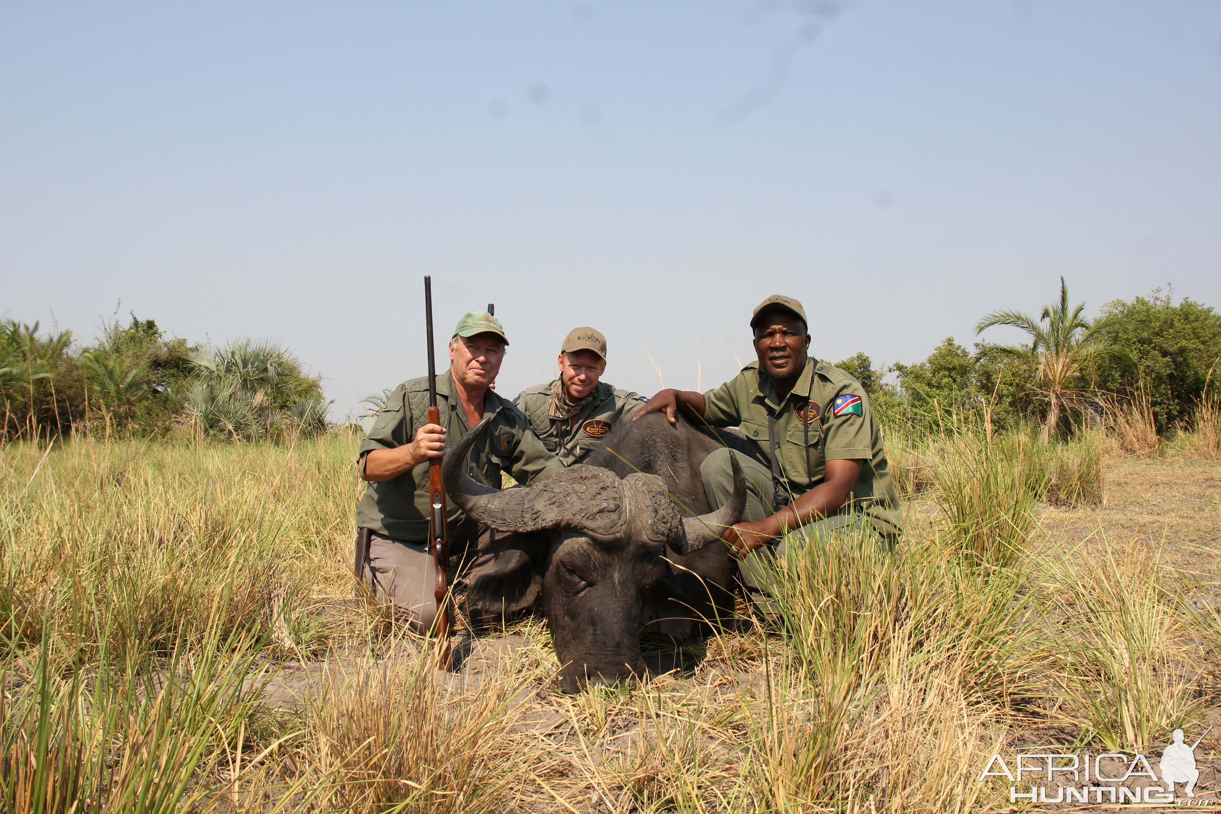 Hunt Cape Buffalo in Namibia