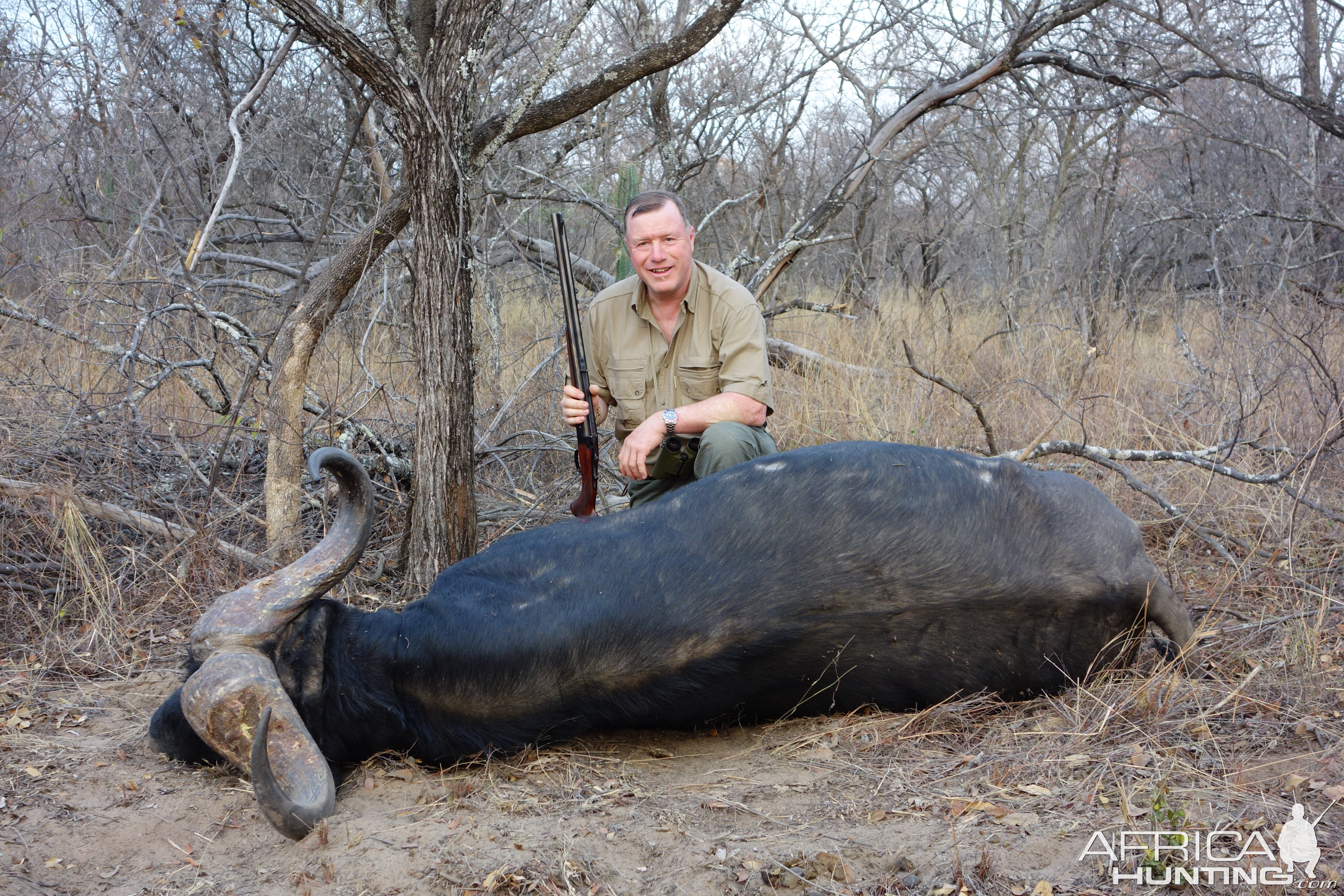 Hunt Cape Buffalo in South Africa