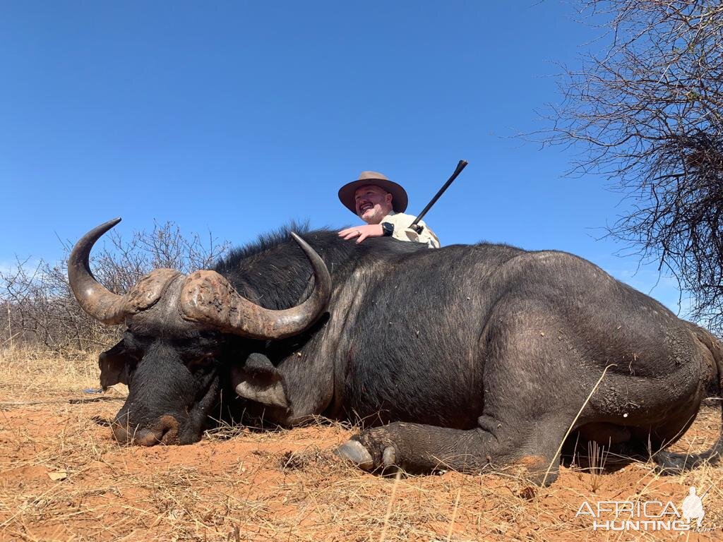 Hunt Cape Buffalo in South Africa