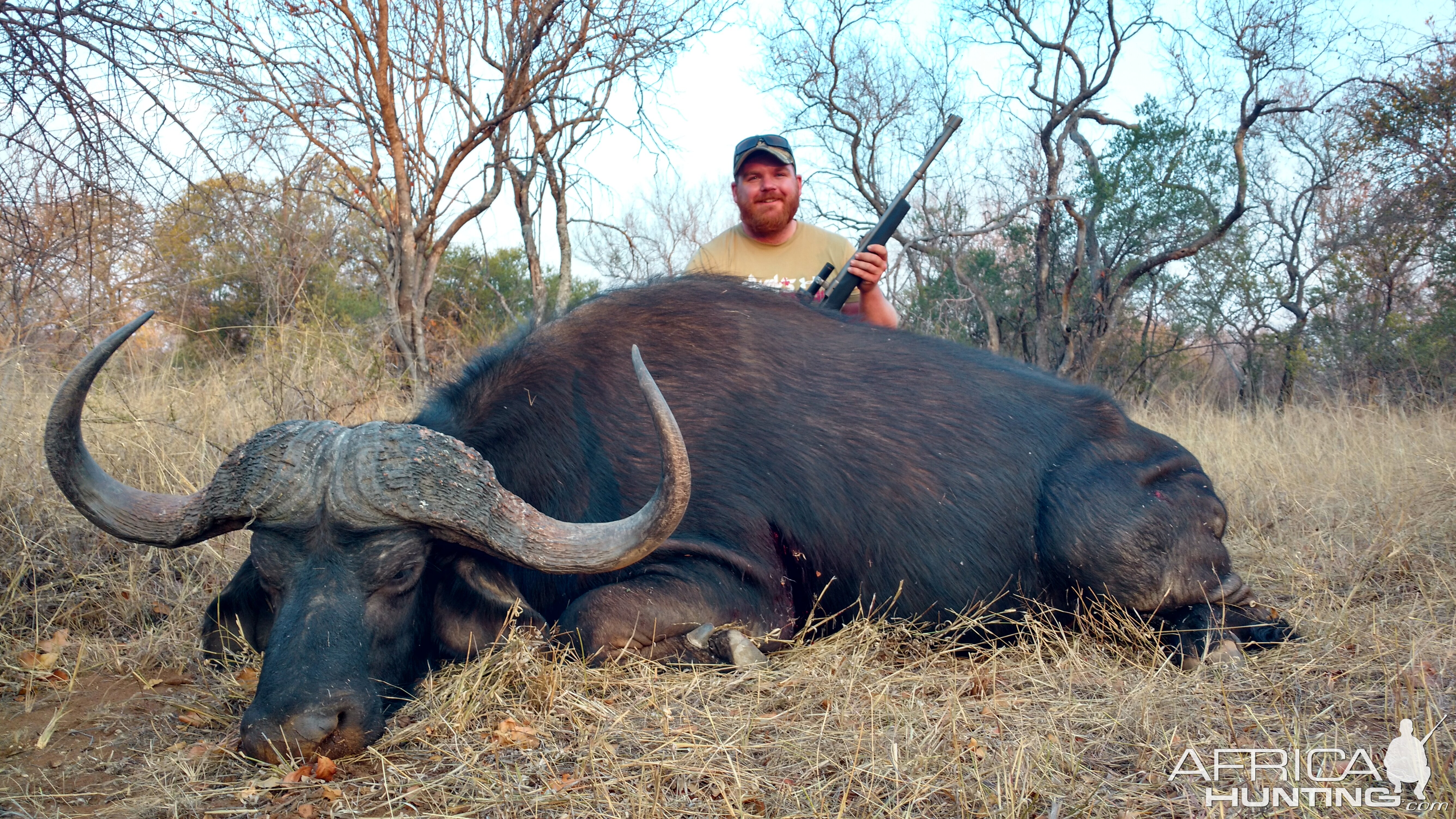 Hunt Cape Buffalo in South Africa