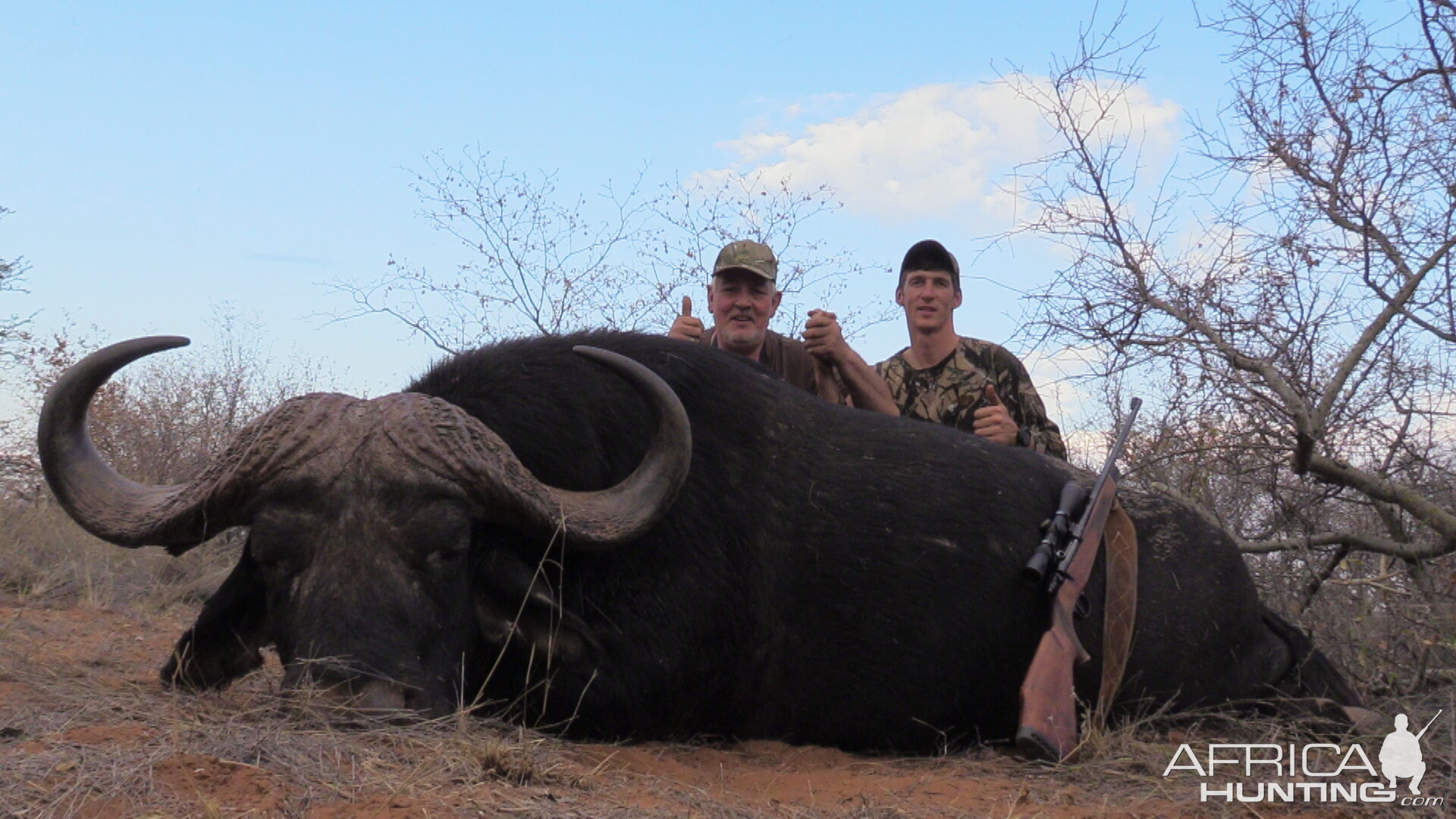 Hunt Cape Buffalo in South Africa