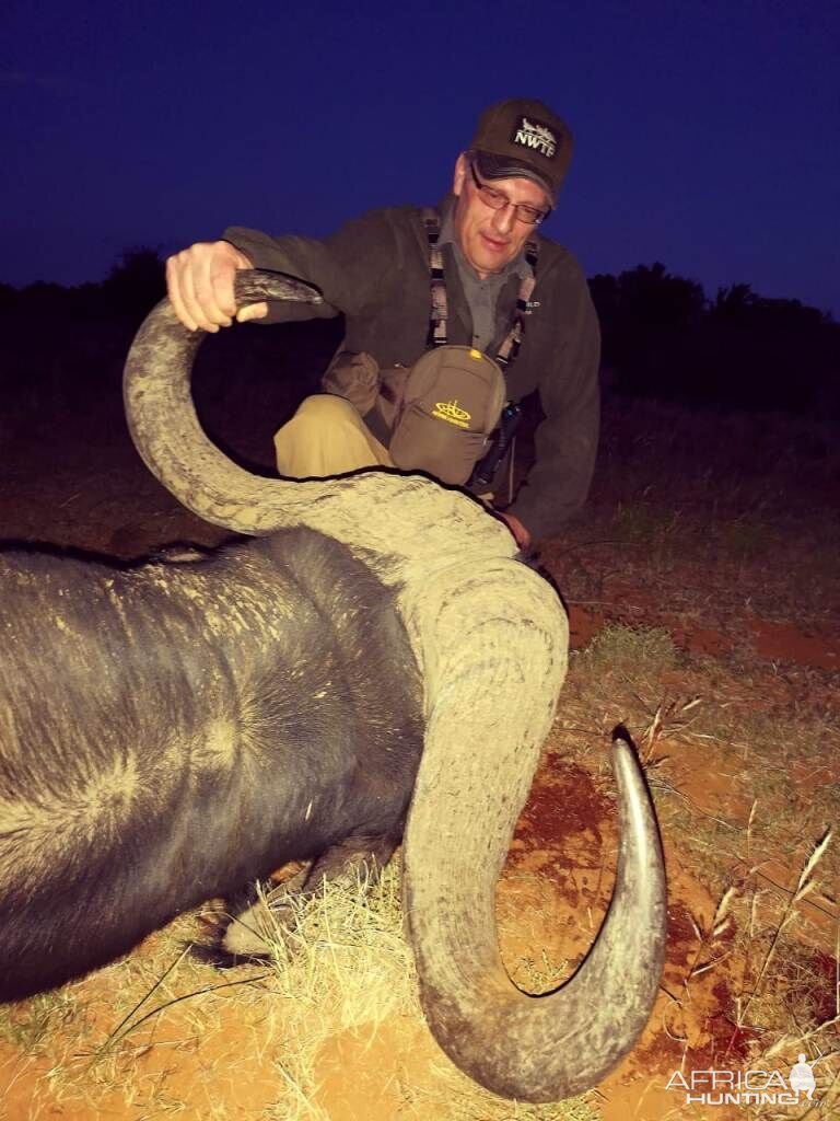 Hunt Cape Buffalo in South Africa