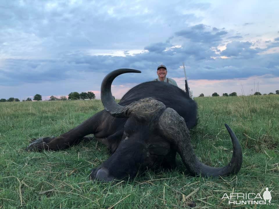 Hunt Cape Buffalo in Tanzania