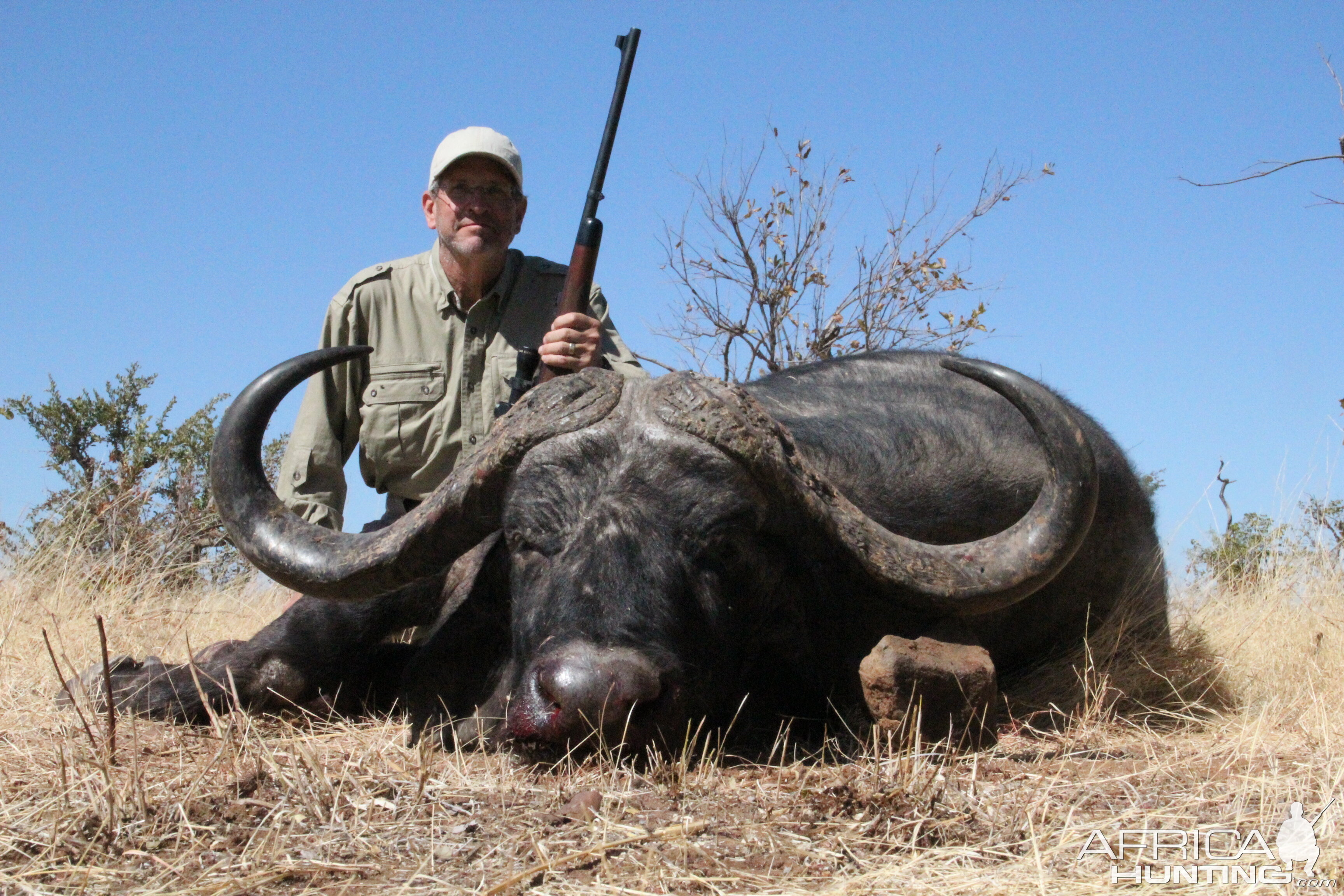 Hunt Cape Buffalo in Zimbabwe