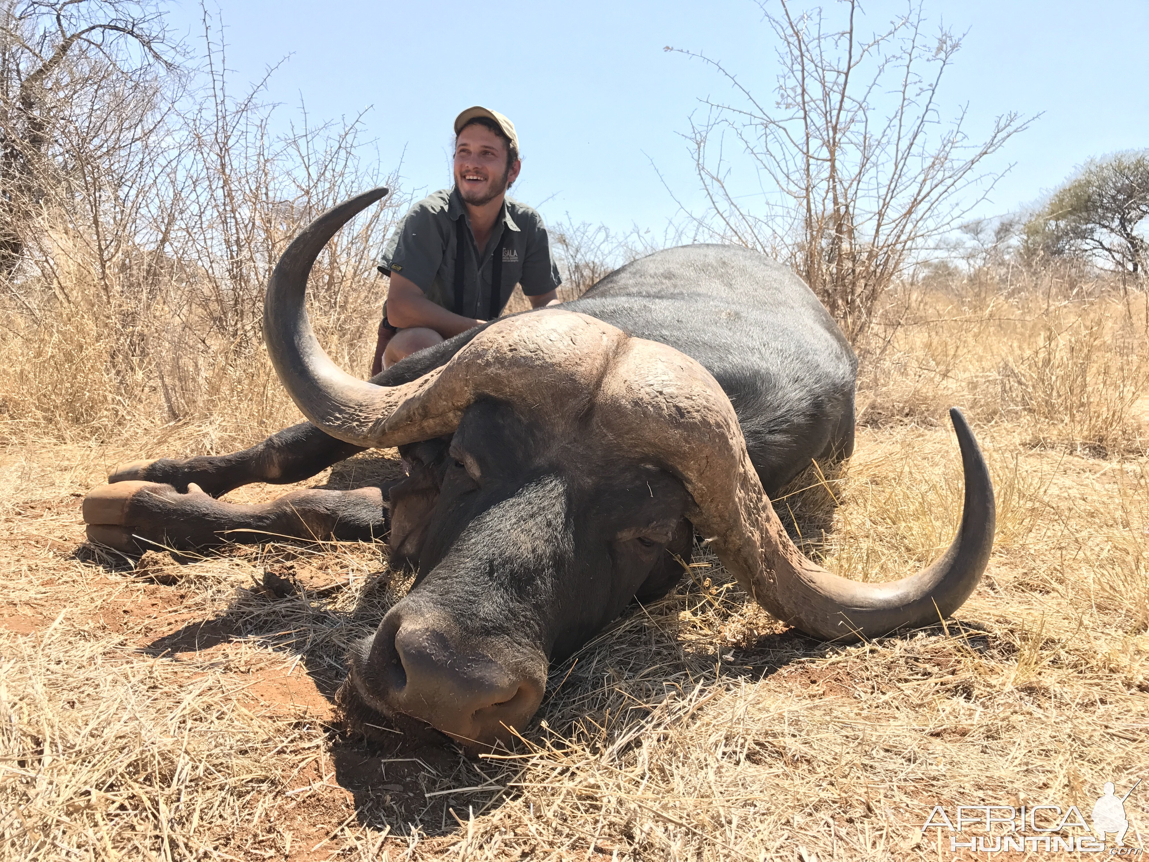 Hunt Cape Buffalo South Africa