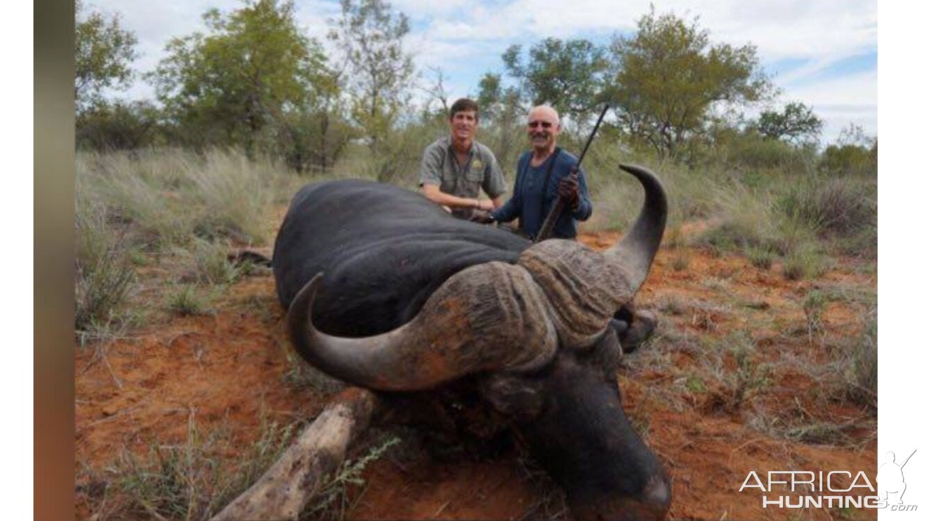 Hunt Cape Buffalo South Africa