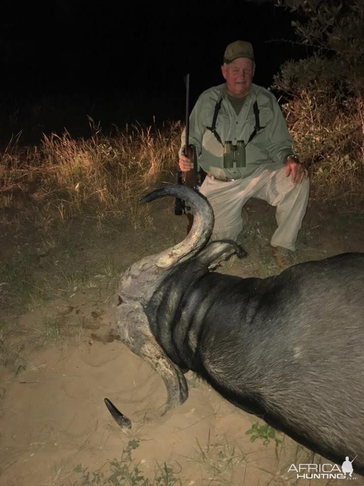 Hunt Cape Buffalo South Africa