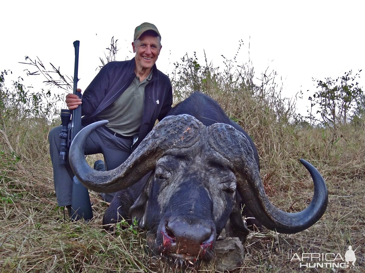 Hunt Cape Buffalo