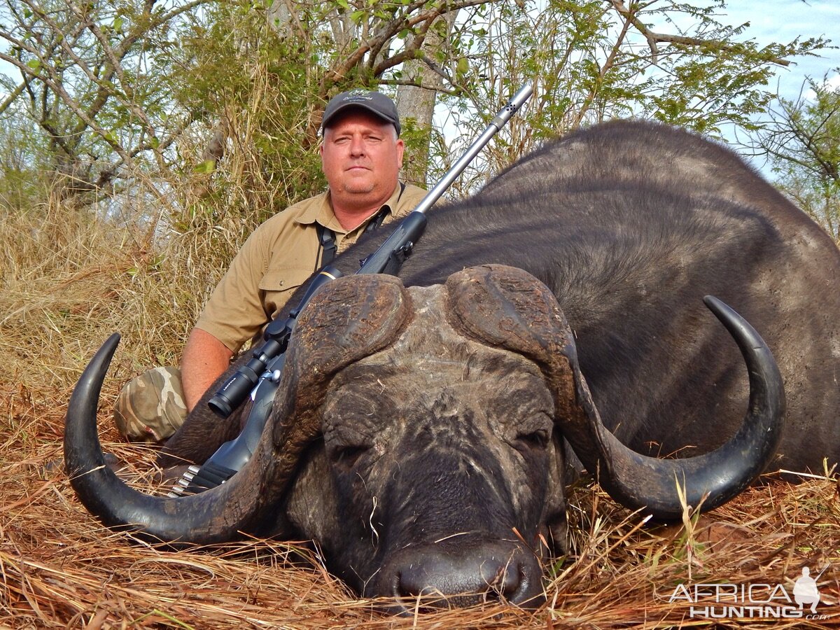 Hunt Cape Buffalo