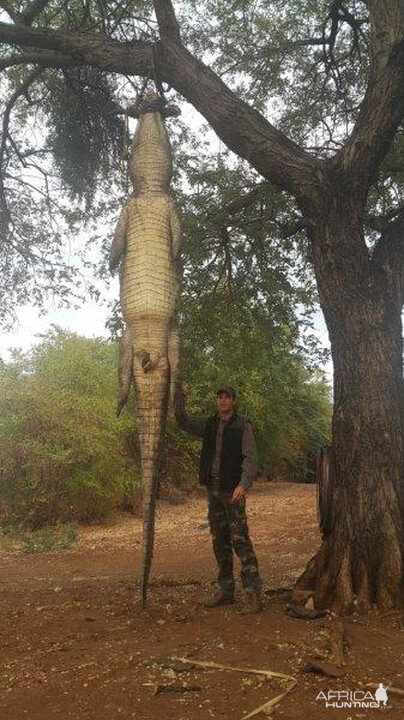 Hunt Crocodile in Mozambique