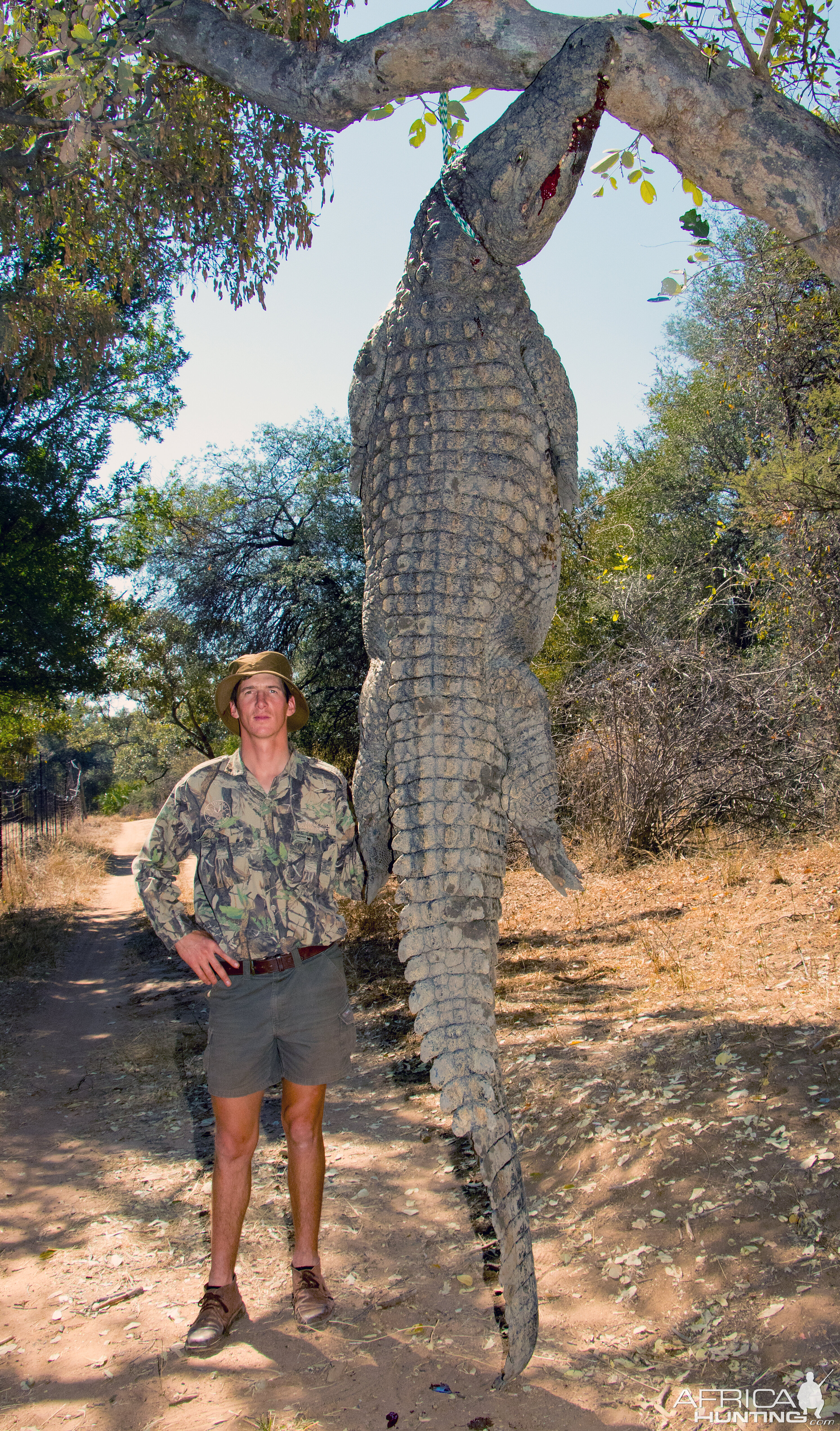 Hunt Crocodile in South Africa