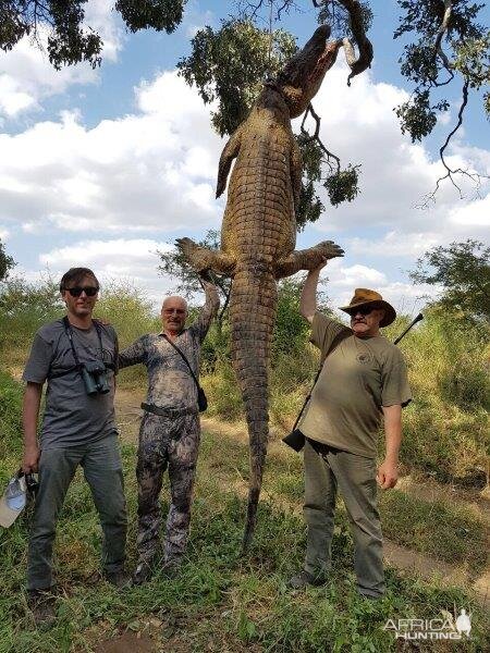 Hunt Crocodile in South Africa