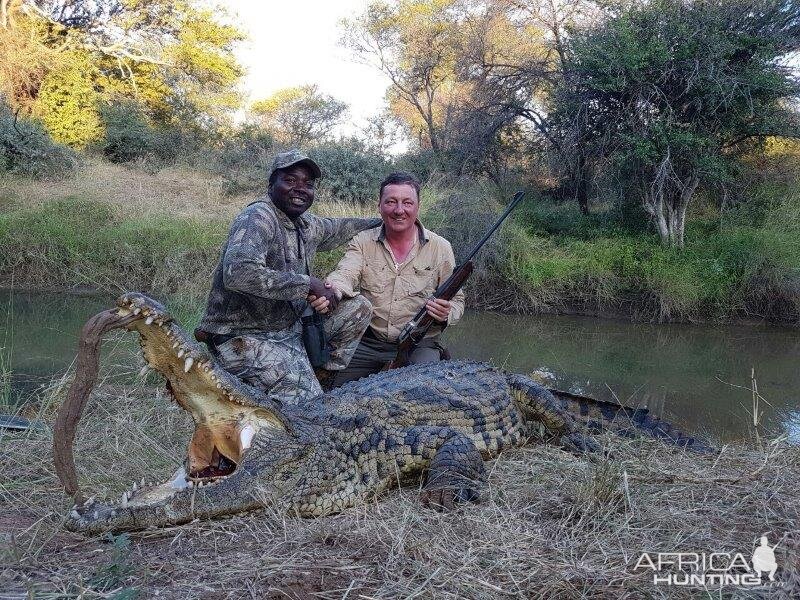 Hunt Crocodile in South Africa