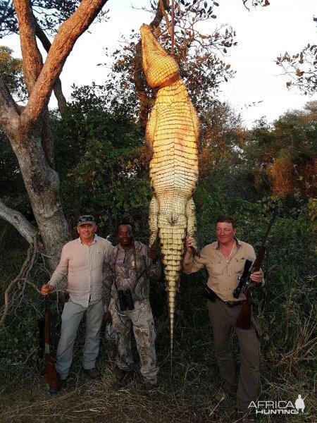 Hunt Crocodile in South Africa