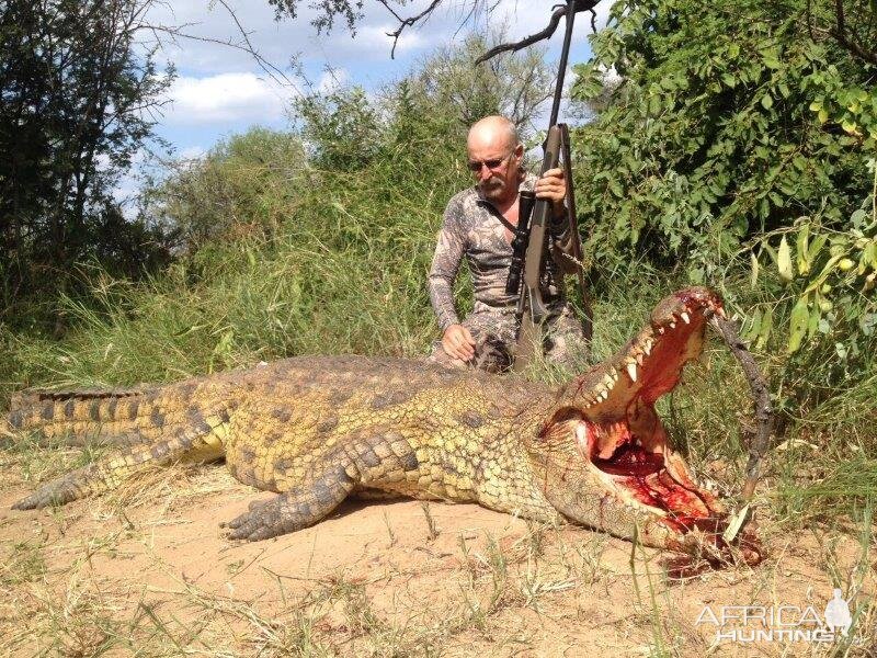 Hunt Crocodile in South Africa