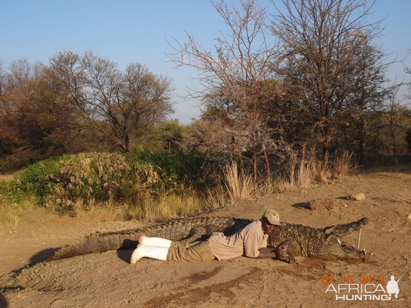 Hunt Crocodile in South Africa