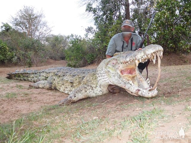 Hunt Crocodile in Tanzania