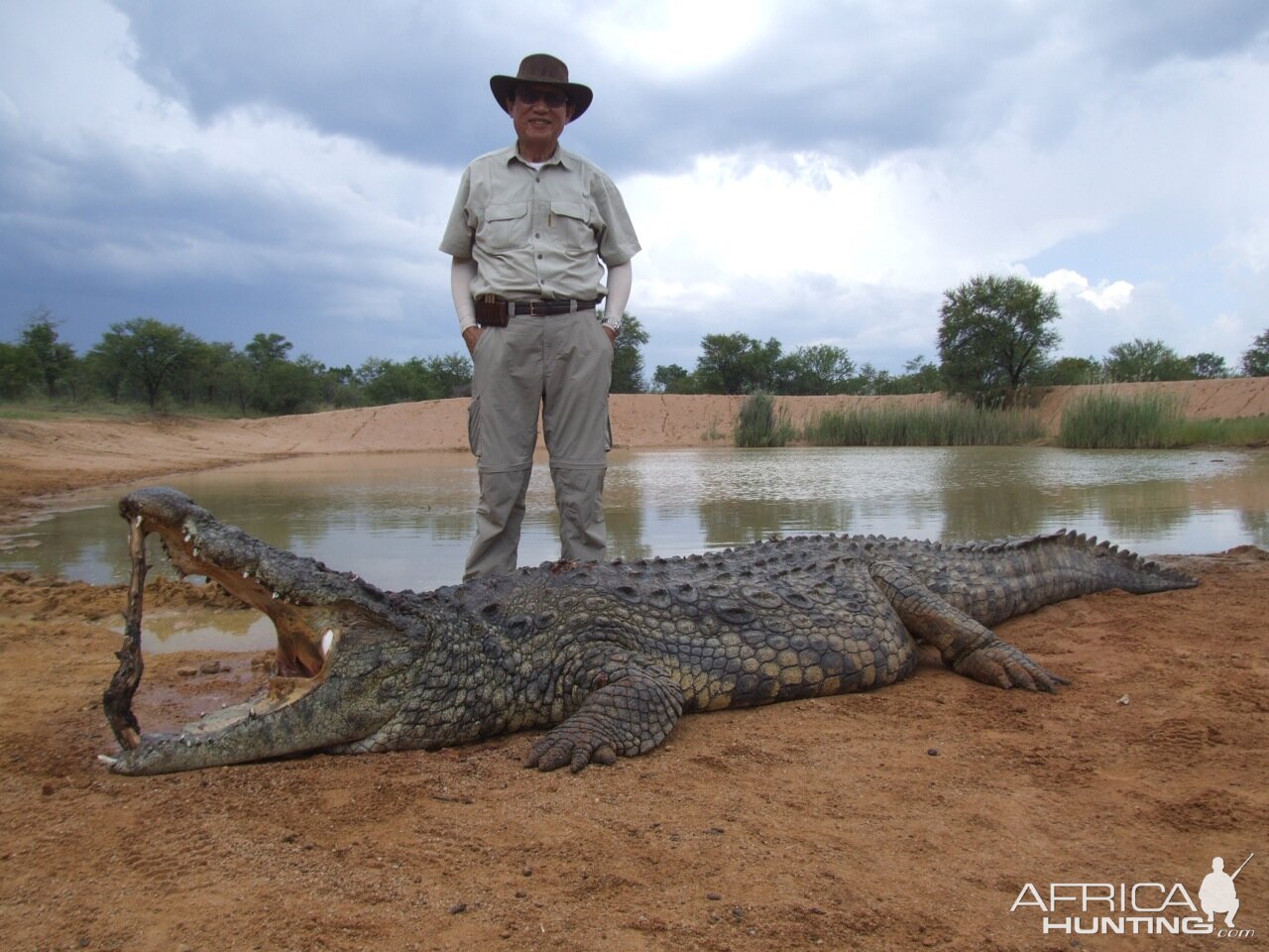 Hunt Crocodile