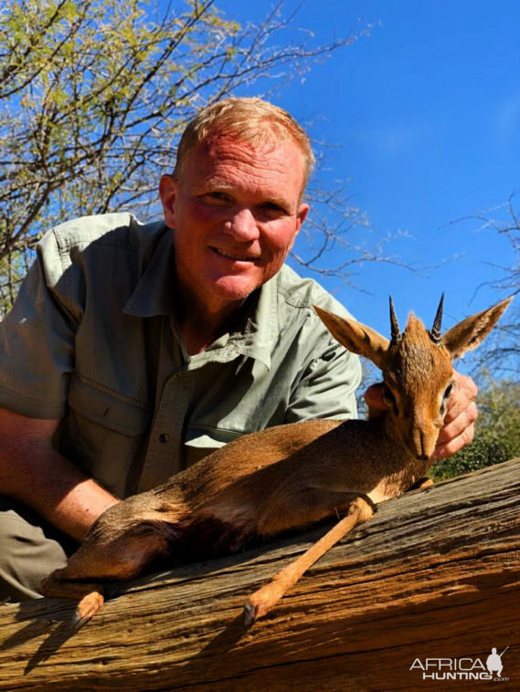 Hunt Damara Dik-dik in Namibia