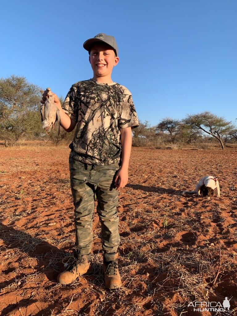 Hunt Dove in South Africa