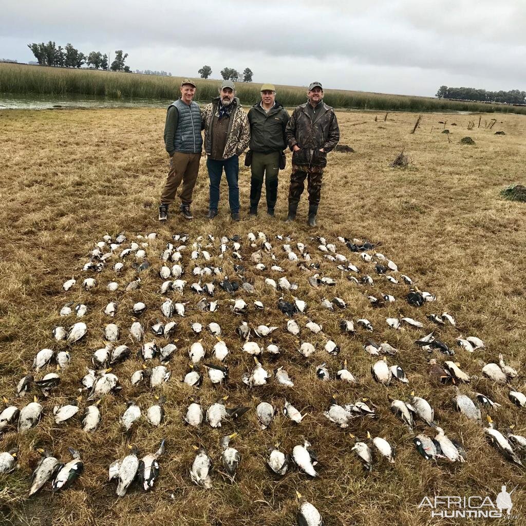 Hunt Duck in Argentina