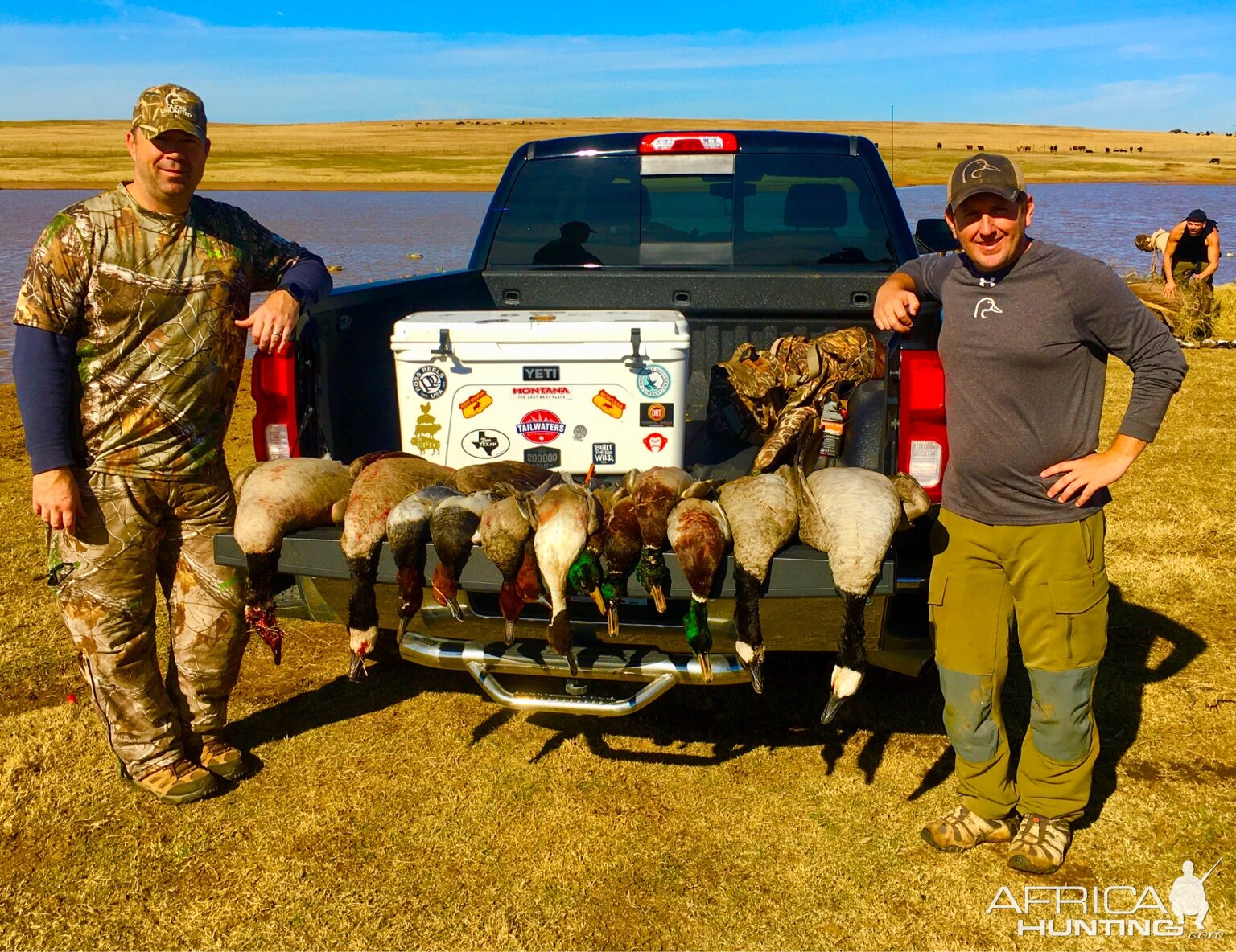 Hunt Ducks & Canada Goose in Texas USA