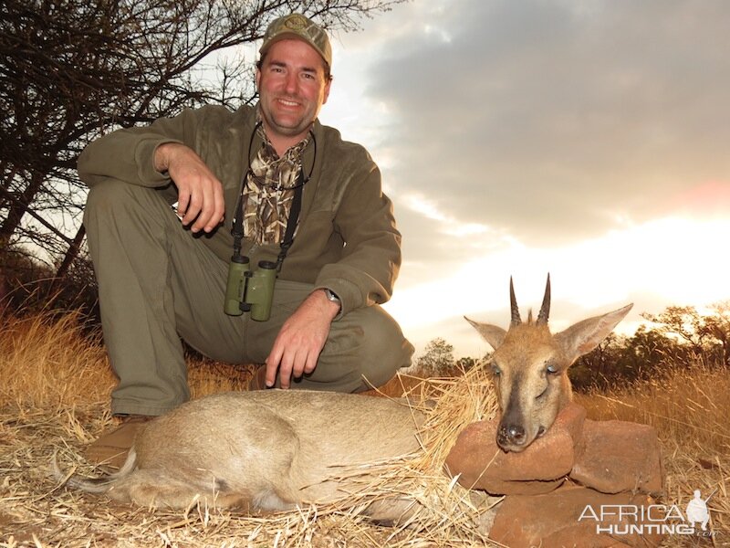 Hunt Duiker in Namibia