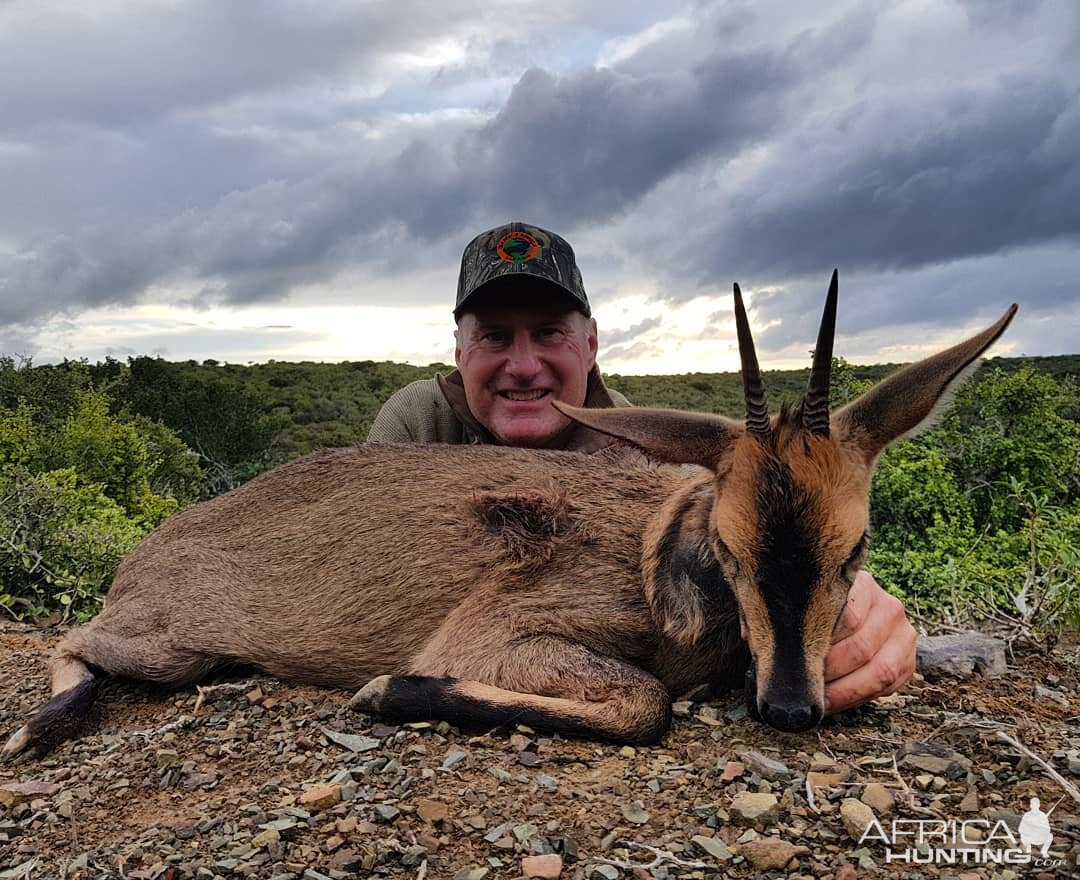 Hunt Duiker in South Africa