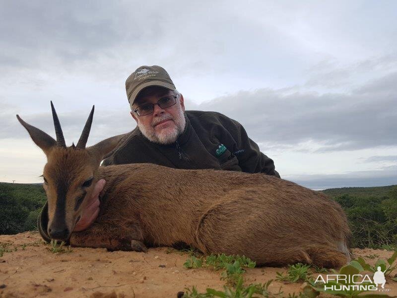 Hunt Duiker in South Africa