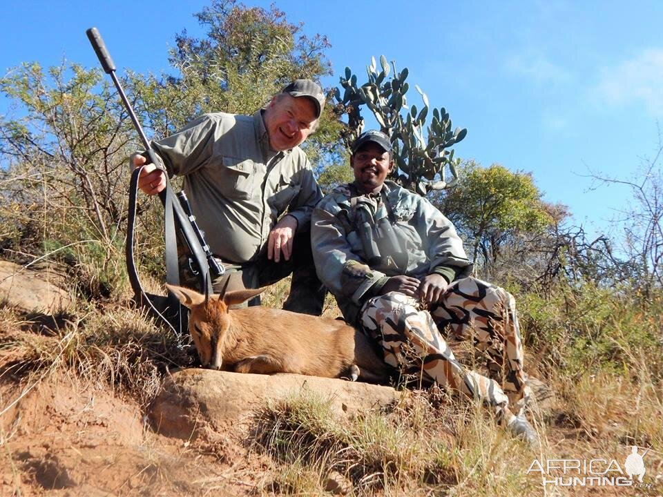 Hunt Duiker in South Africa