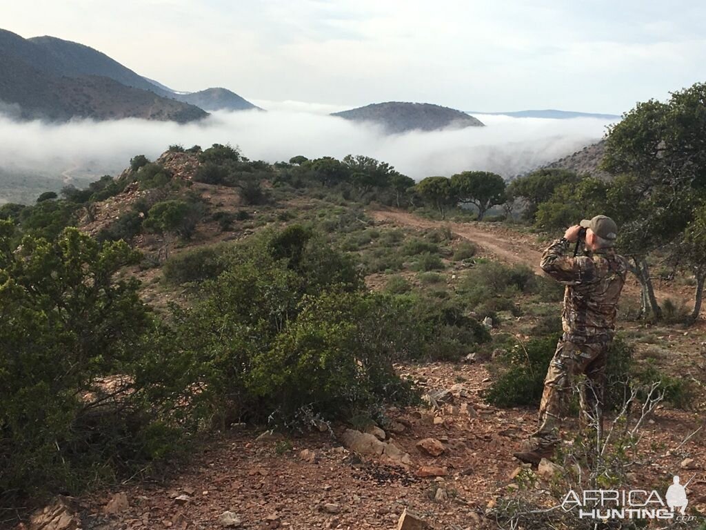 Hunt Eland in South Africa