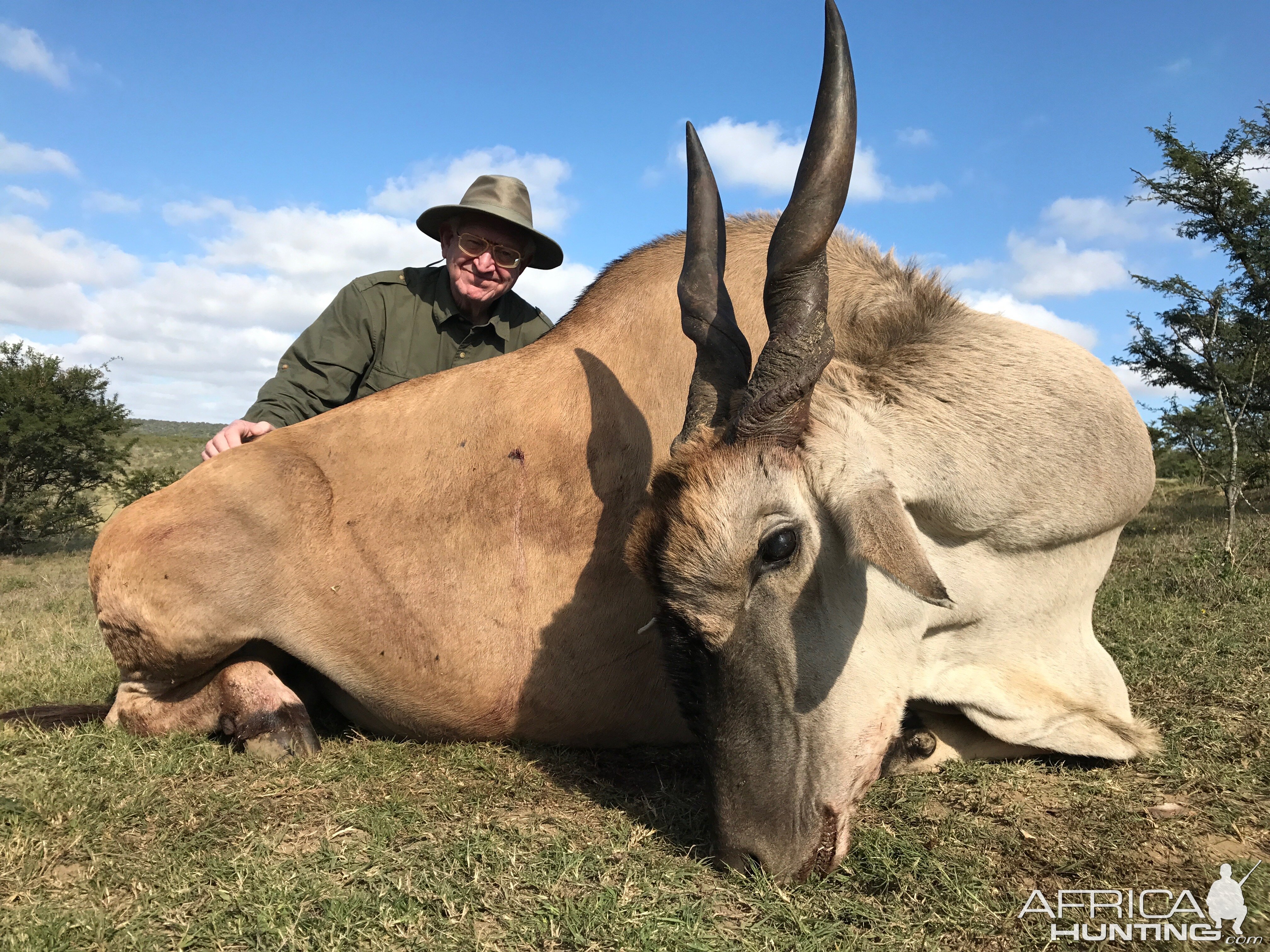 Hunt Eland in South Africa