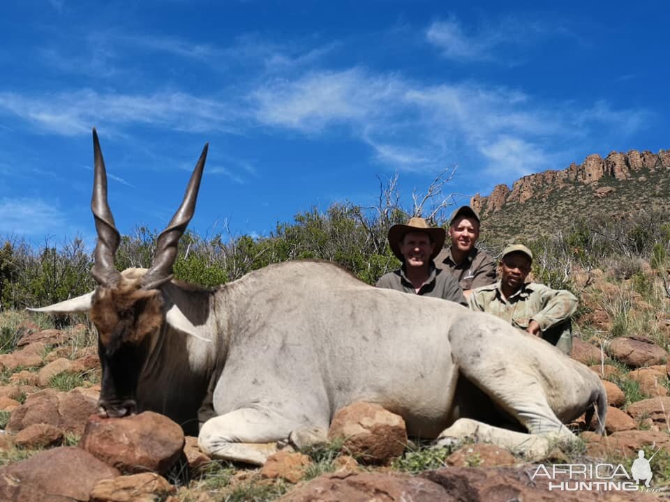 Hunt Eland in South Africa