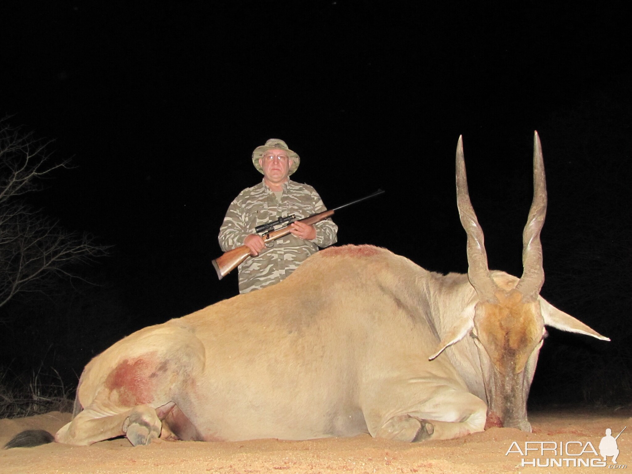 Hunt Eland in South Africa