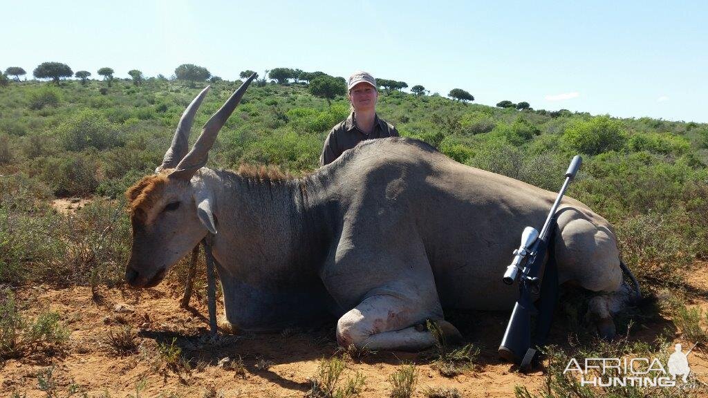 Hunt Eland in South Africa