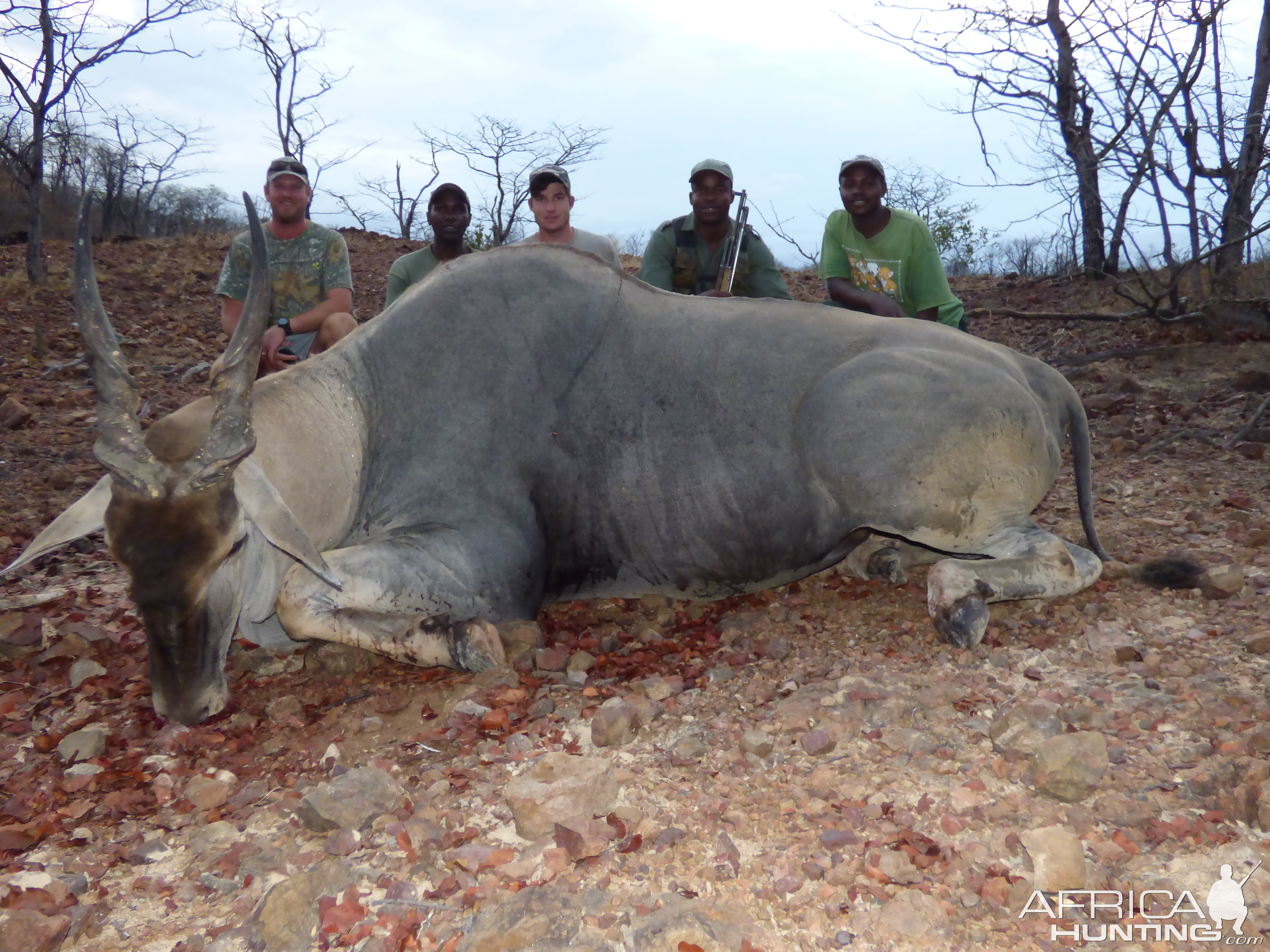 Hunt Eland in Zimbabwe