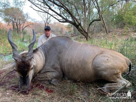 Hunt Eland in Zimbabwe