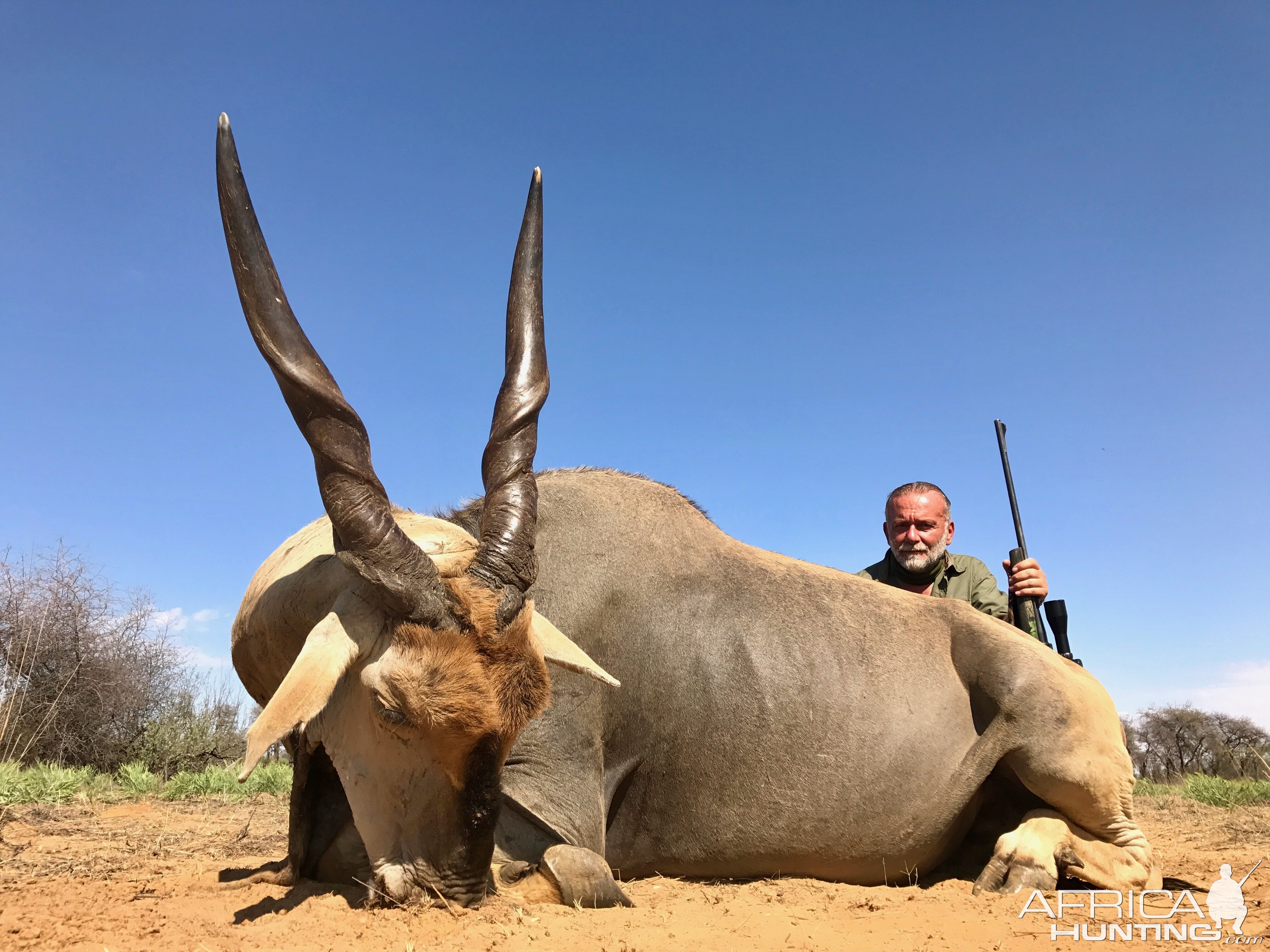 Hunt Eland South Africa