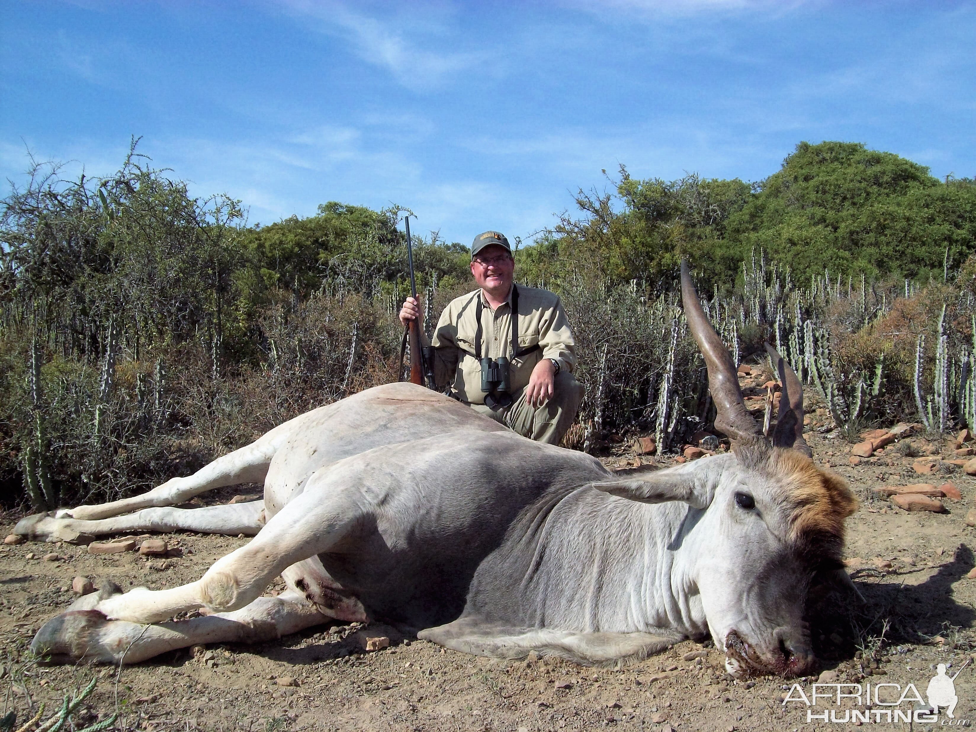 Hunt Eland South Africa