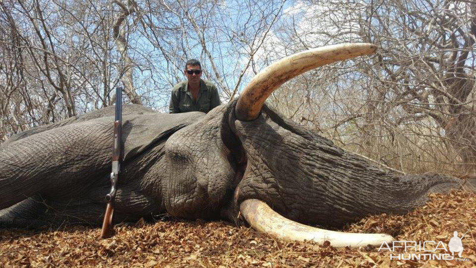 Hunt Elephant in Mozambique