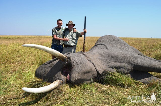 Hunt Elephant in Namibia